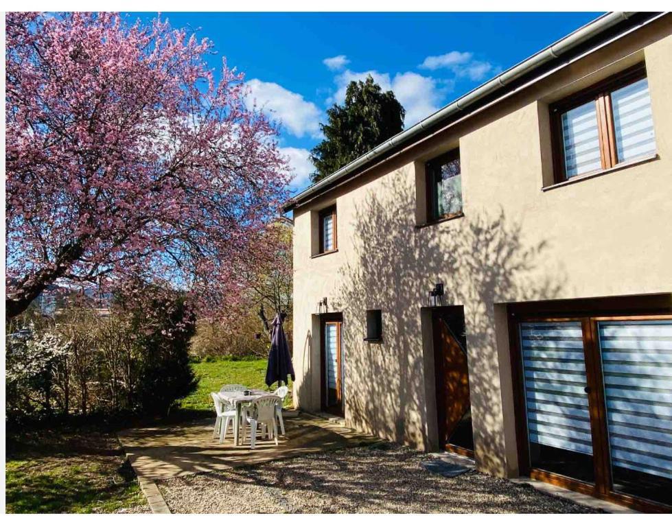 Gite Magnolia Chatenois Alsace Exterior foto